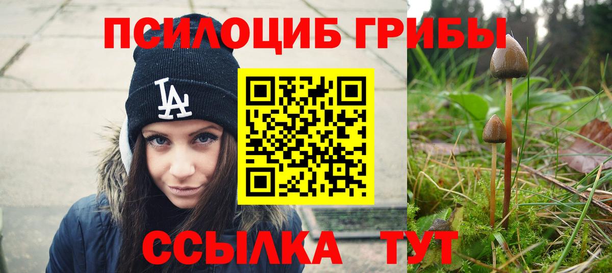 Галлюциногенные грибы Cubensis  Вход с VPN  Луга 