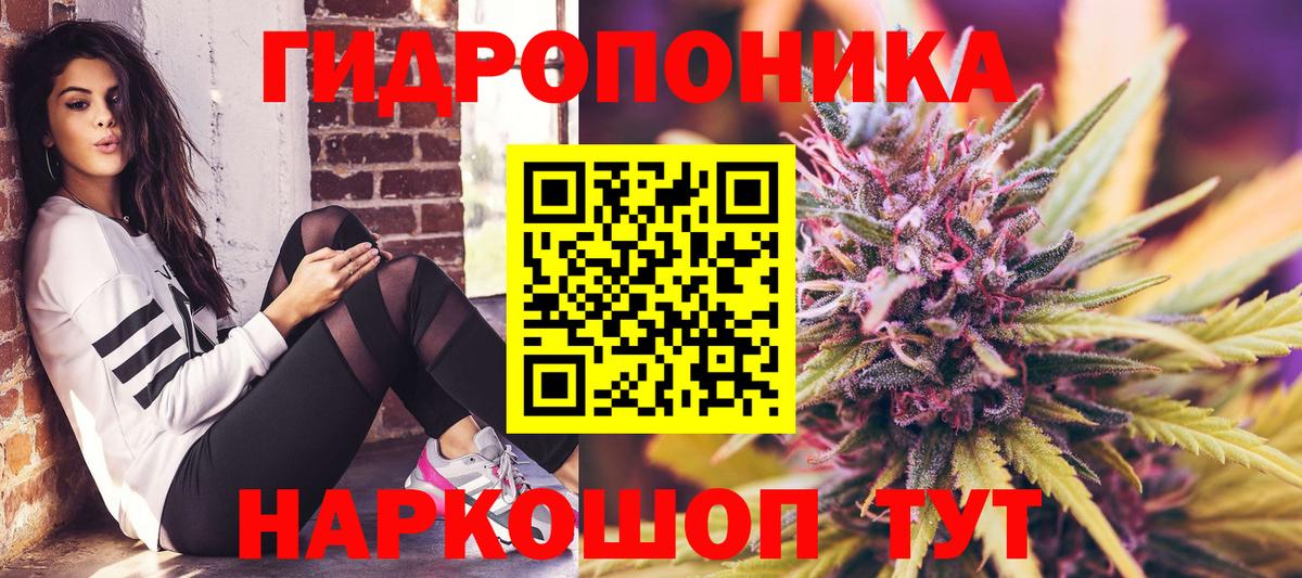 Каннабис SATIVA & INDICA Луга